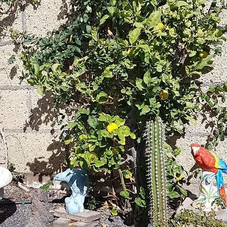 Casa In Teneriffas Suden 아파트 *
