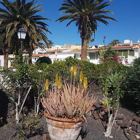 아파트 Casa In Teneriffas Suden
